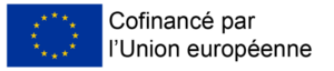 Logo du Fonds Social Européen